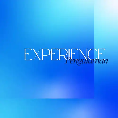 Work Experience